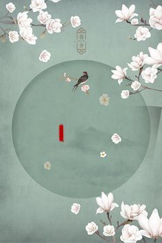 蘑菇传媒